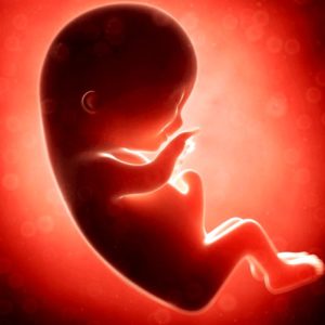 embarazo - ovarios poliquisticos y test de embarazo 300x300